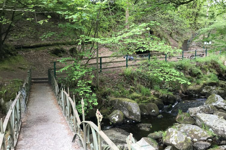 Returning home to Ireland is a Journey of Opportunity and Belonging
