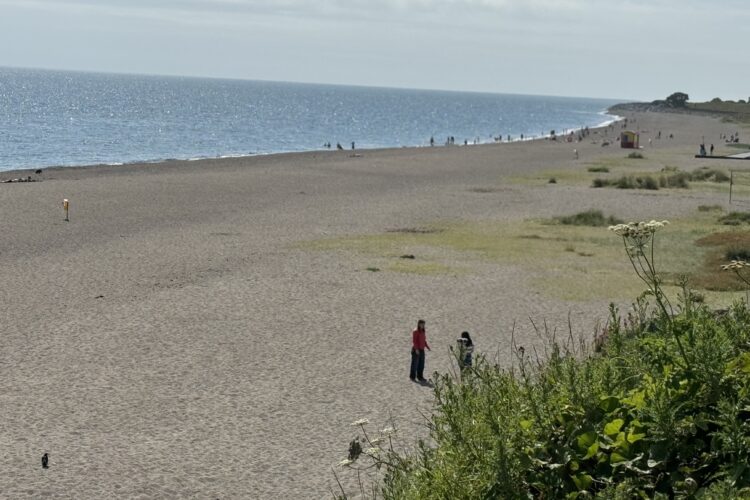 Waterford the perfect location to progress
